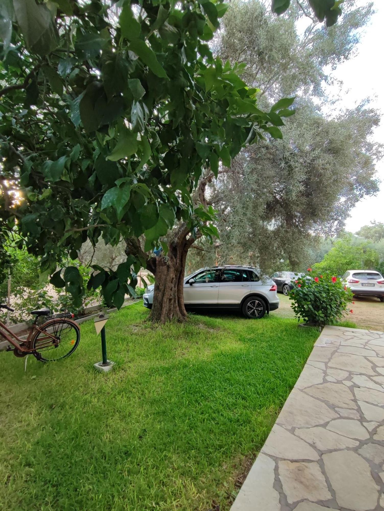 Niriton Brand New Nydri (Lefkada)
