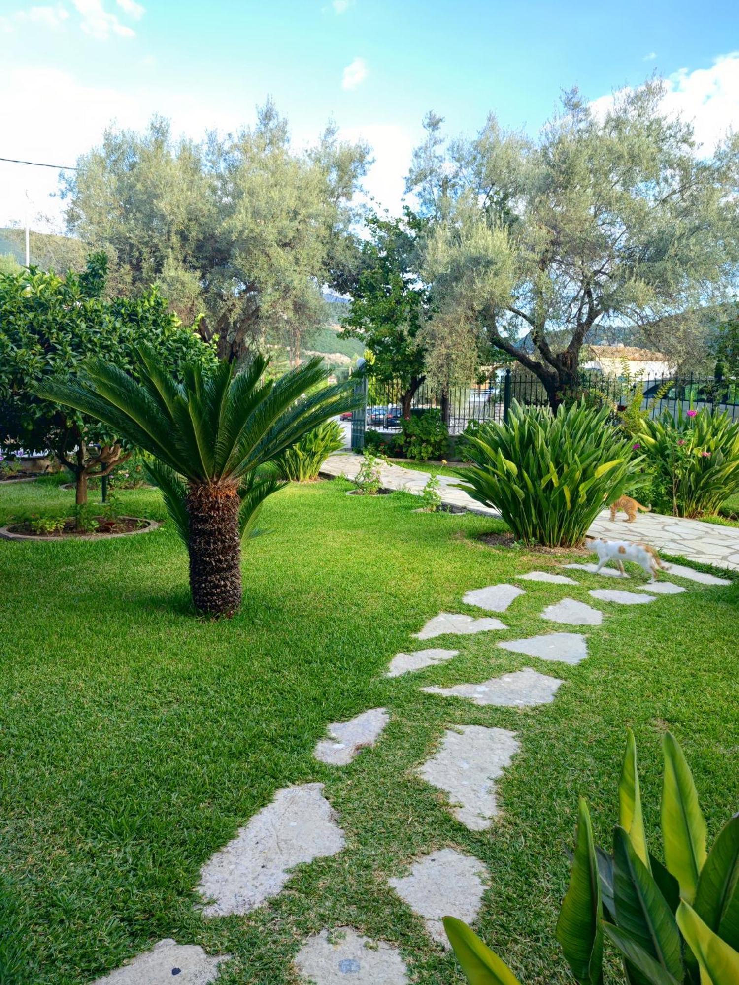 Niriton Brand New * Nydri (Lefkada)
