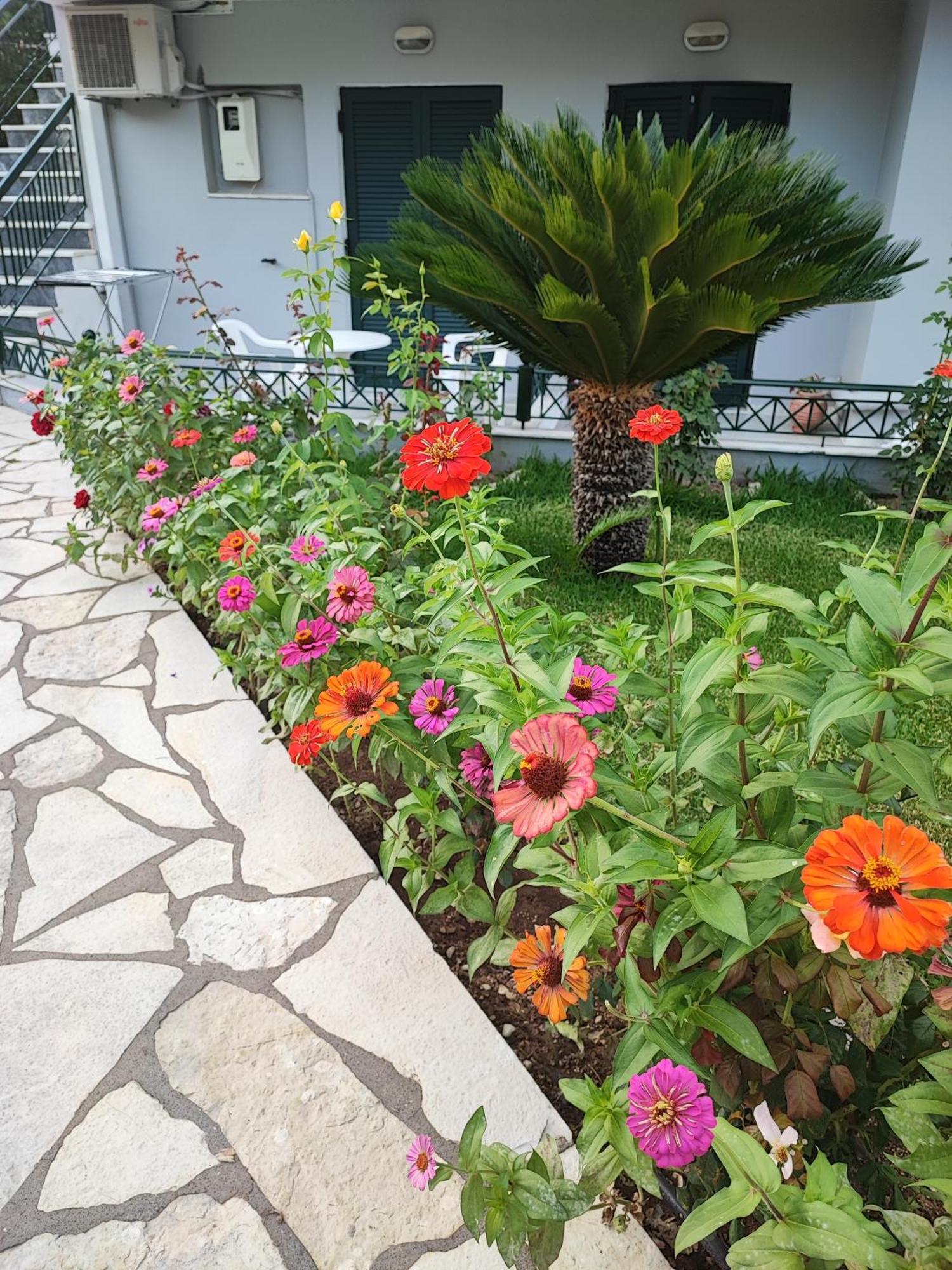Niriton Brand New Apartment *
